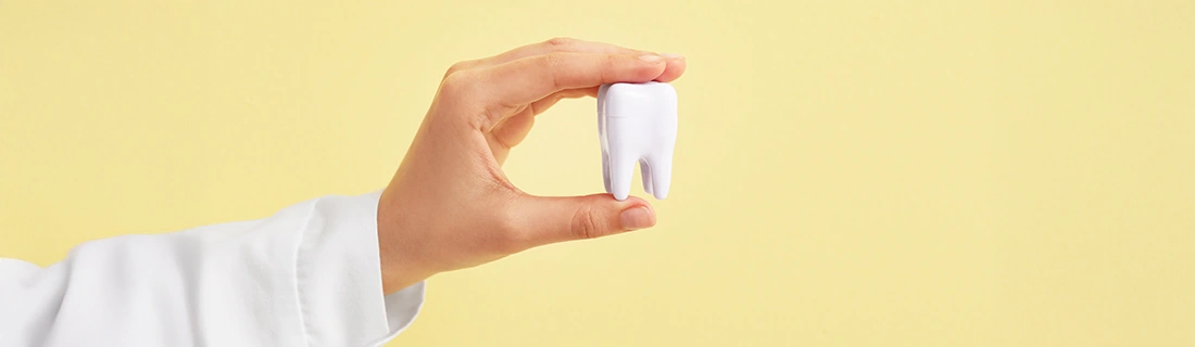 Get Comprehensive Dental Services in Eatontown NJ Get Comprehensive Dental Services in Eatontown NJ